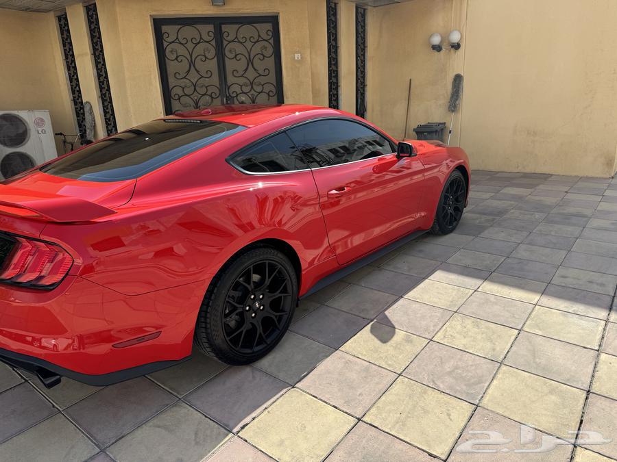 فورد موستنق 201963330861151619111
