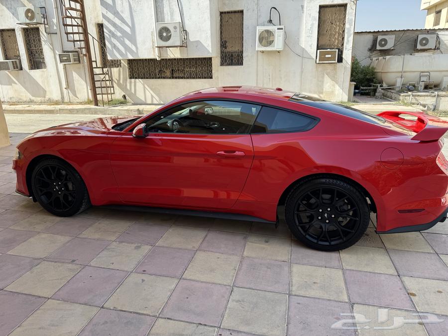 فورد موستنق 201963330861151619114