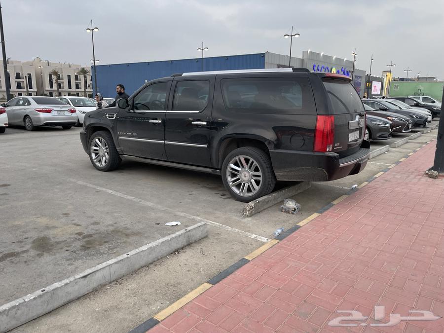 Scalade 2009 Platinum63322459411329111