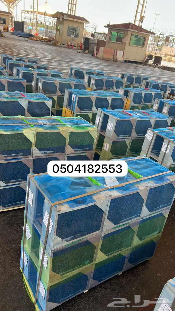 للبيع نحل مرزوم مصري63213131090179112
