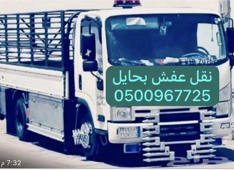 دينا بحايل للنقل630222034213151122