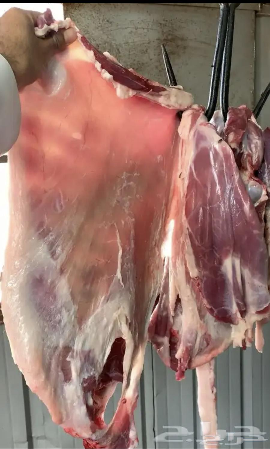 Slaughtering services with delivery available63208100450050114