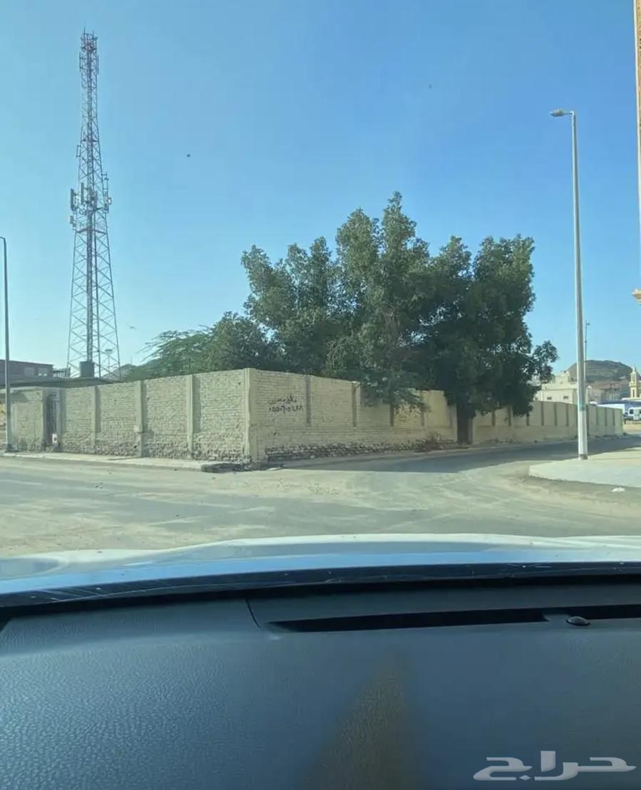 ارض تجارية للاستثمار63008858363011112
