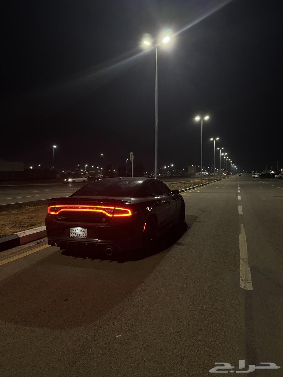 دوج تشاجر 2019   6 سرندل633171190981141115