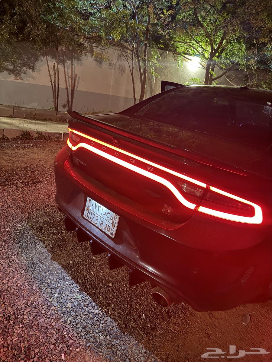 دوج تشاجر 2019   6 سرندل63317119098114112