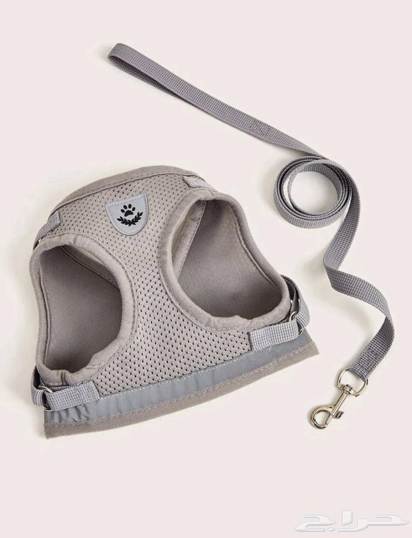 Dog and cat belt63210567025153110