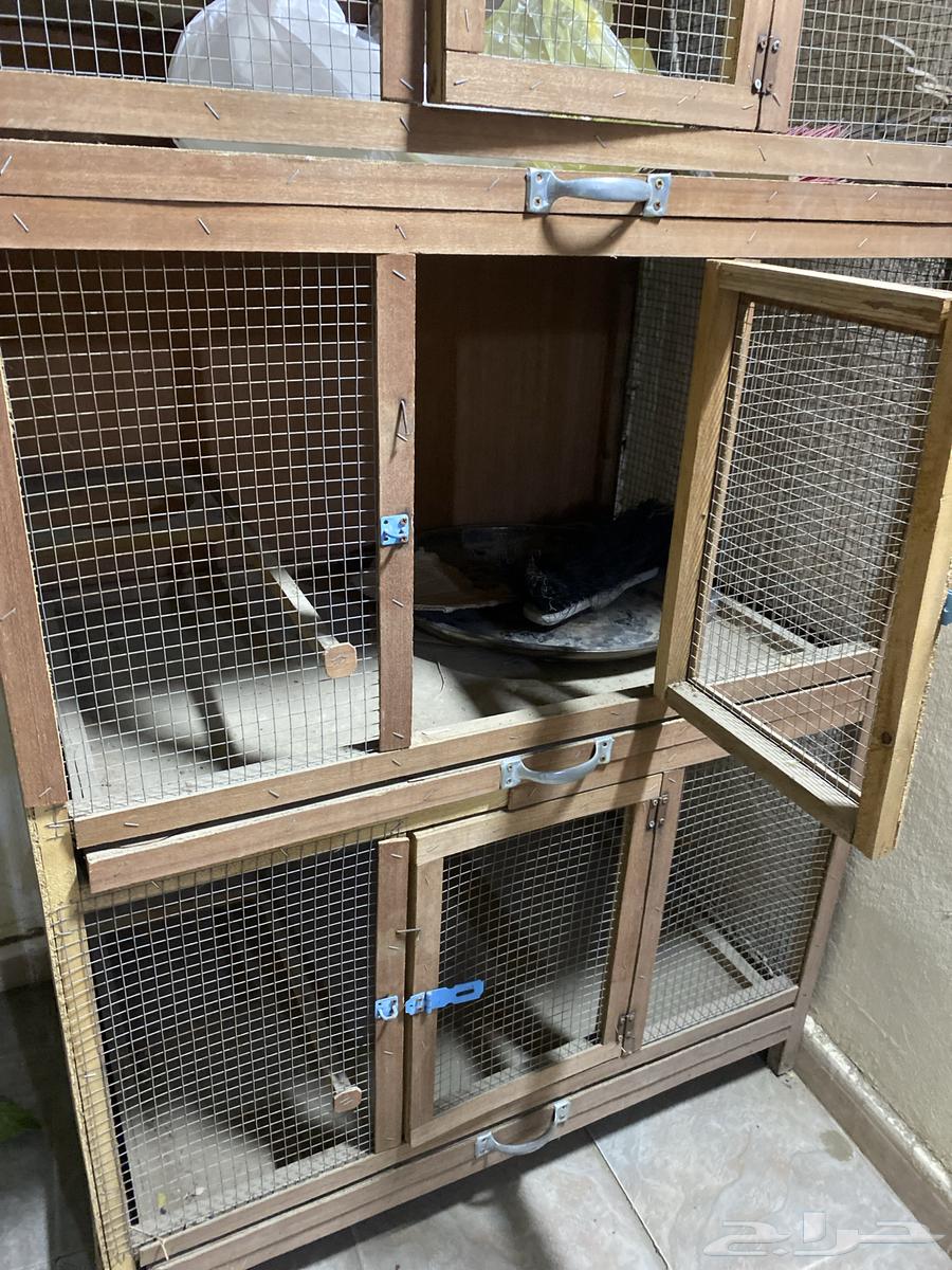 Cage63206112600578111