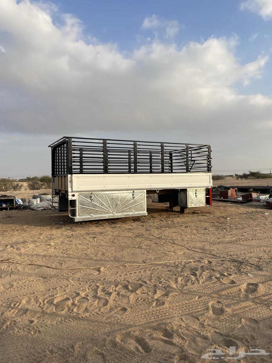 صندوق دينه ايسوزو63312986429186114