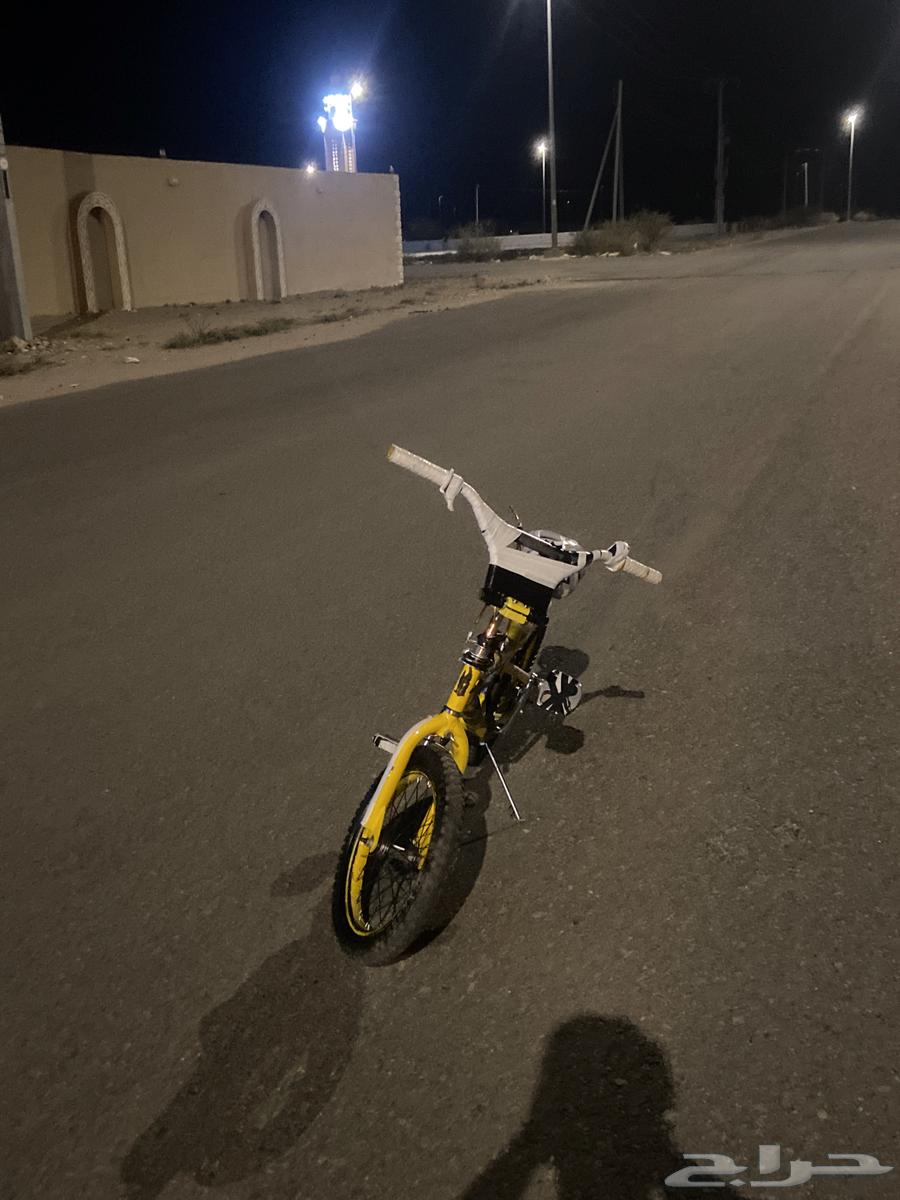 Cobra cycle63205560778753112