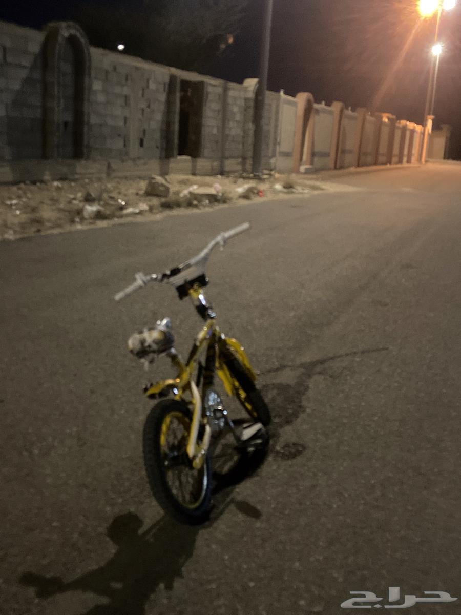 Cobra cycle63205560778753113