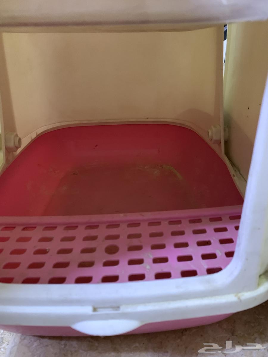 Cats' bathroom63208118692867111