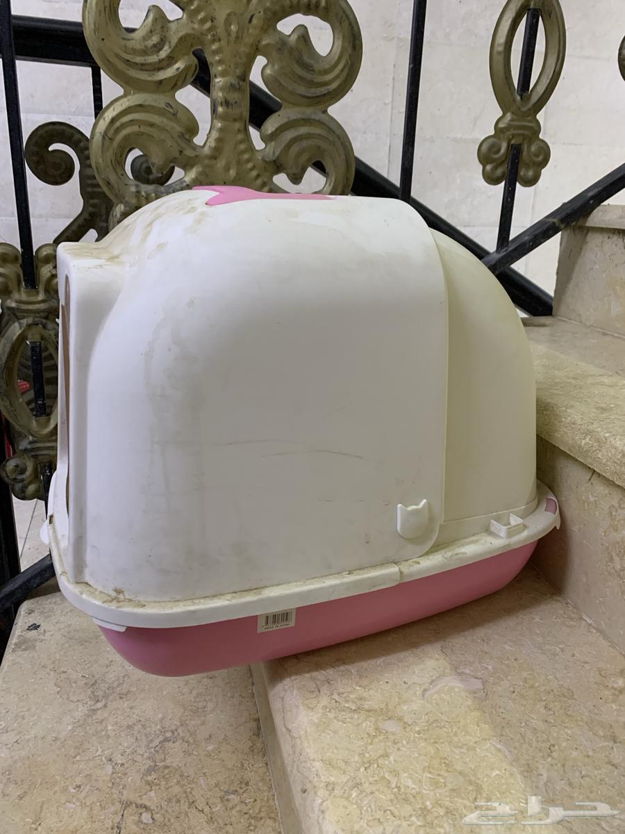 Cats' bathroom63208118692867112