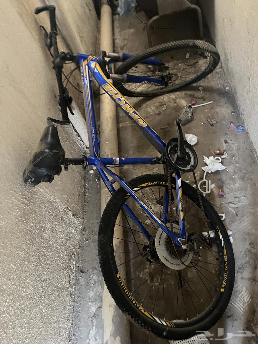 Very clean user cycle63206093050753112