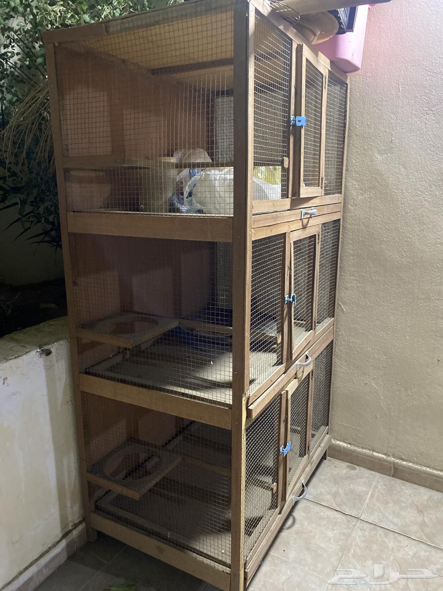Cage63206112600578113