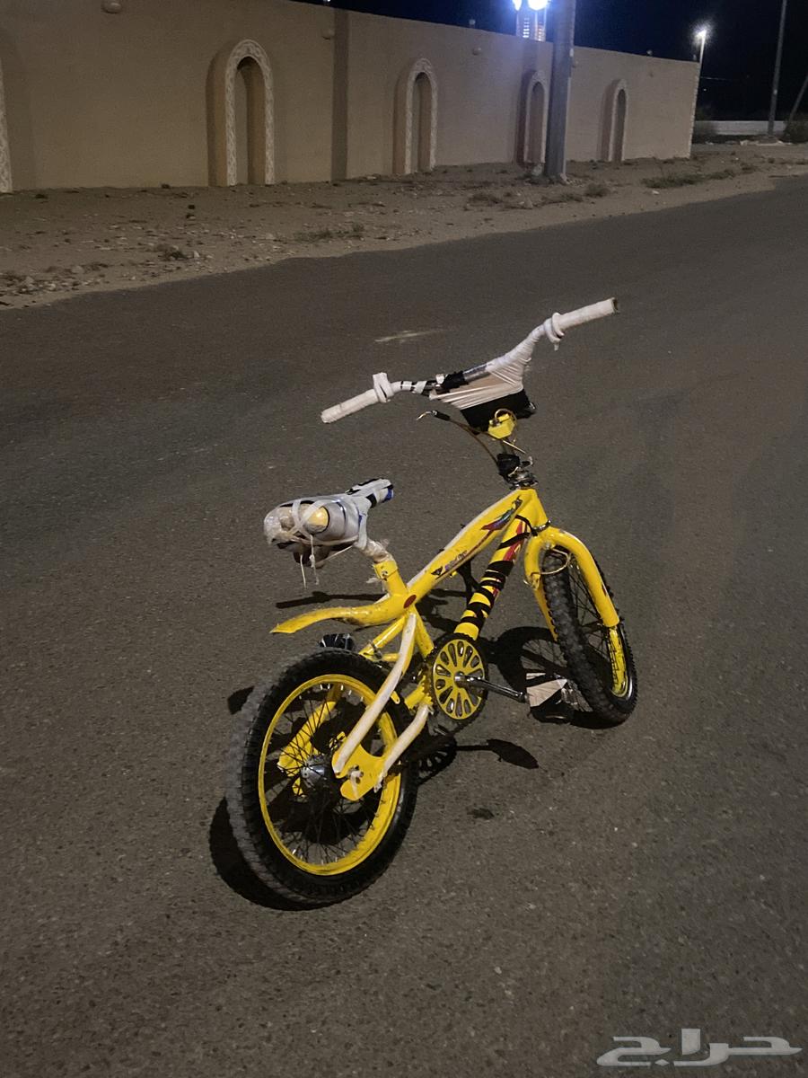 Cobra cycle63205560778753111