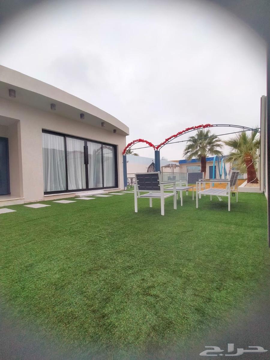 شالية بلو روز للايجار اليومي شمال بريدة( الراشديات)62884378887425110