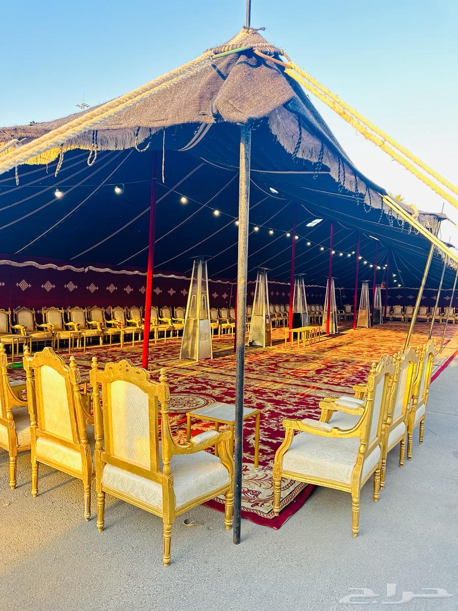 Renting large-sized traditional tents  
Renting tents63205583368705111