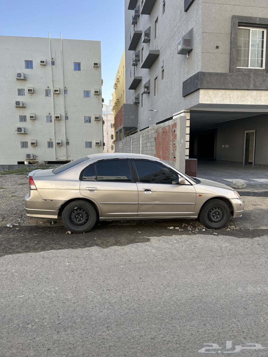 سفك 200163308780060419112