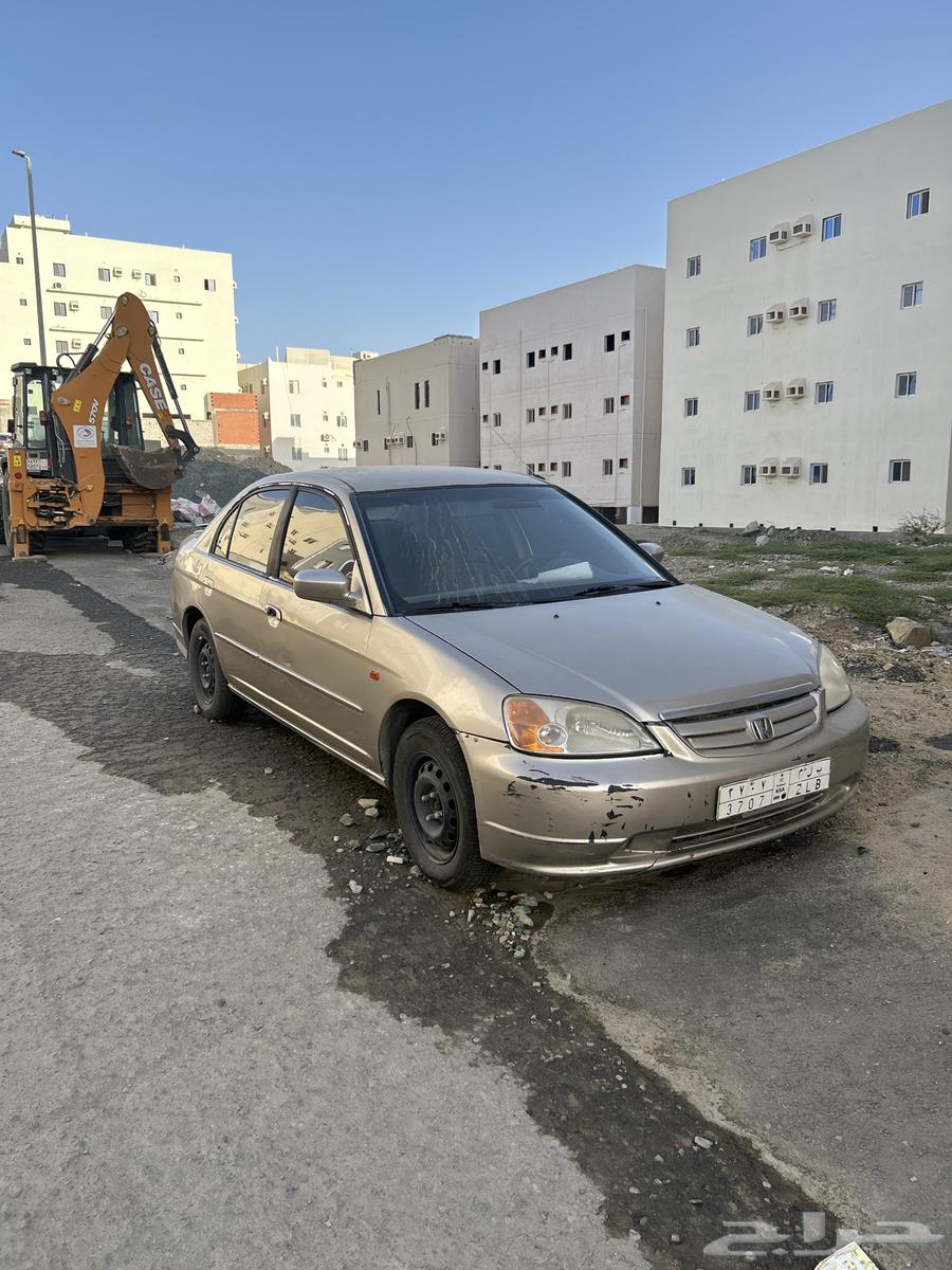 سفك 200163308780060419113