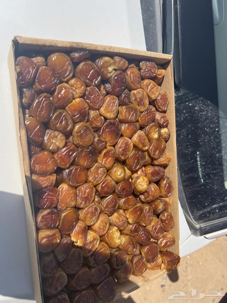 For sale: premium royal dates, wholesale and grown in Al-Warshadiah. Large quantities available for sale.63205081209730112
