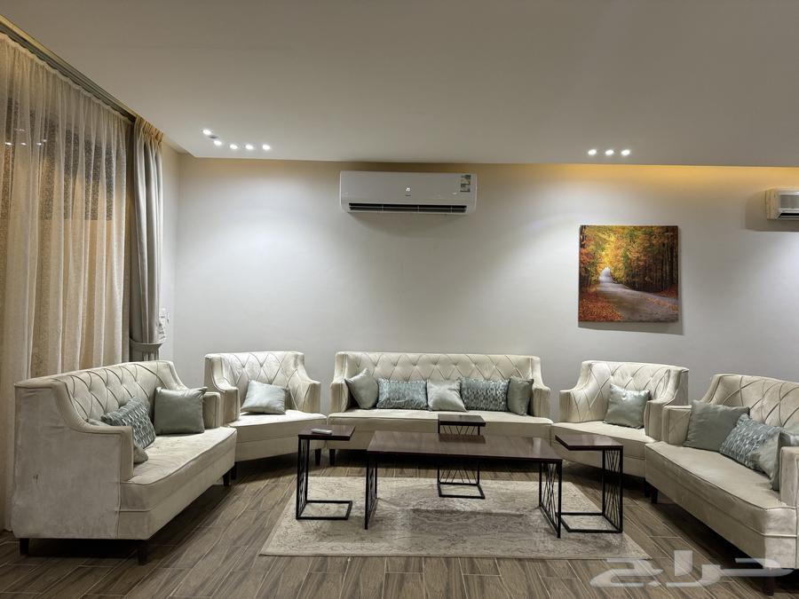 Daily rent lounge62884379426818114