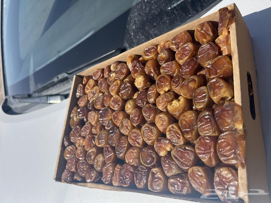For sale: premium royal dates, wholesale and grown in Al-Warshadiah. Large quantities available for sale.63205081209730111