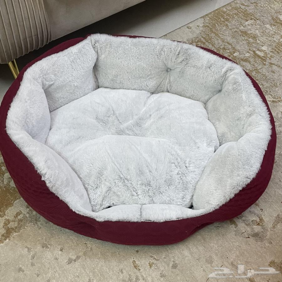 Cat supplies63205095678210111
