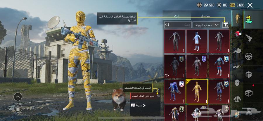 PUBG account for sale, price mentioned in the pictures63205586866305112