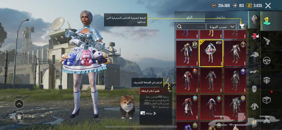 PUBG account for sale, price mentioned in the pictures63205586866305113