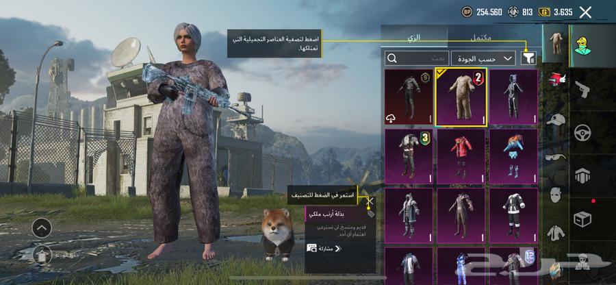 PUBG account for sale, price mentioned in the pictures63205586866305114