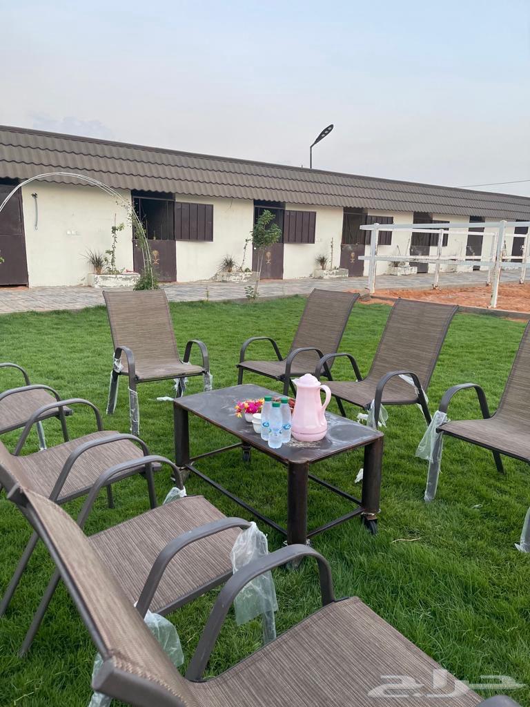 Daily rent lounge62884379426818111