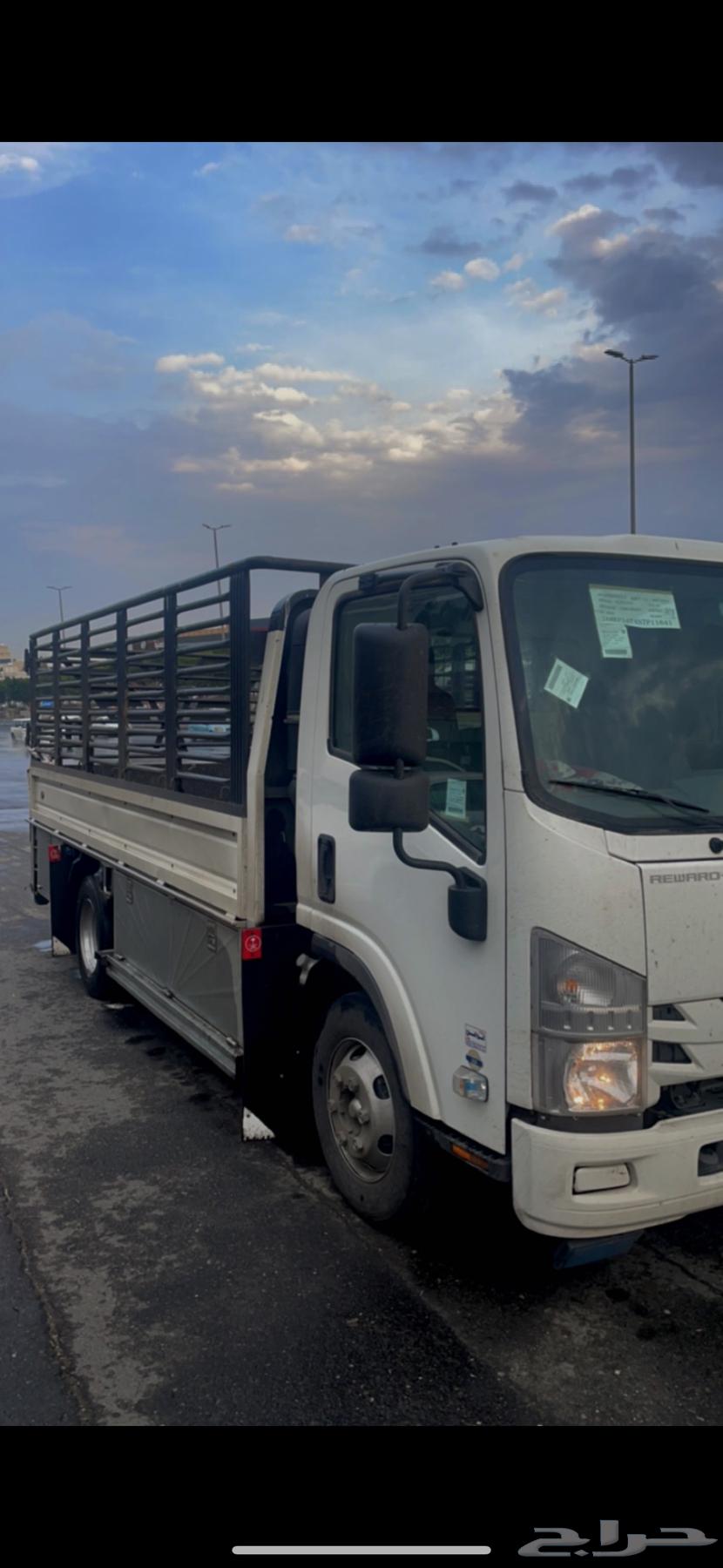 Dina delivery of trips within the south and outside it63307841991426111