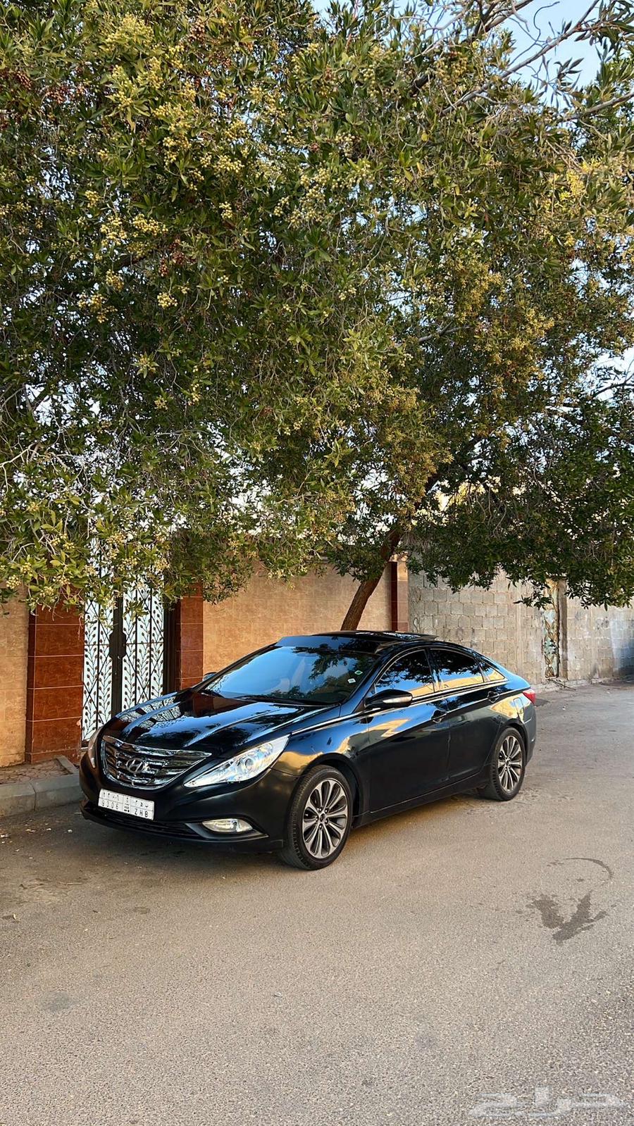 Sonata for sale63307763437699113