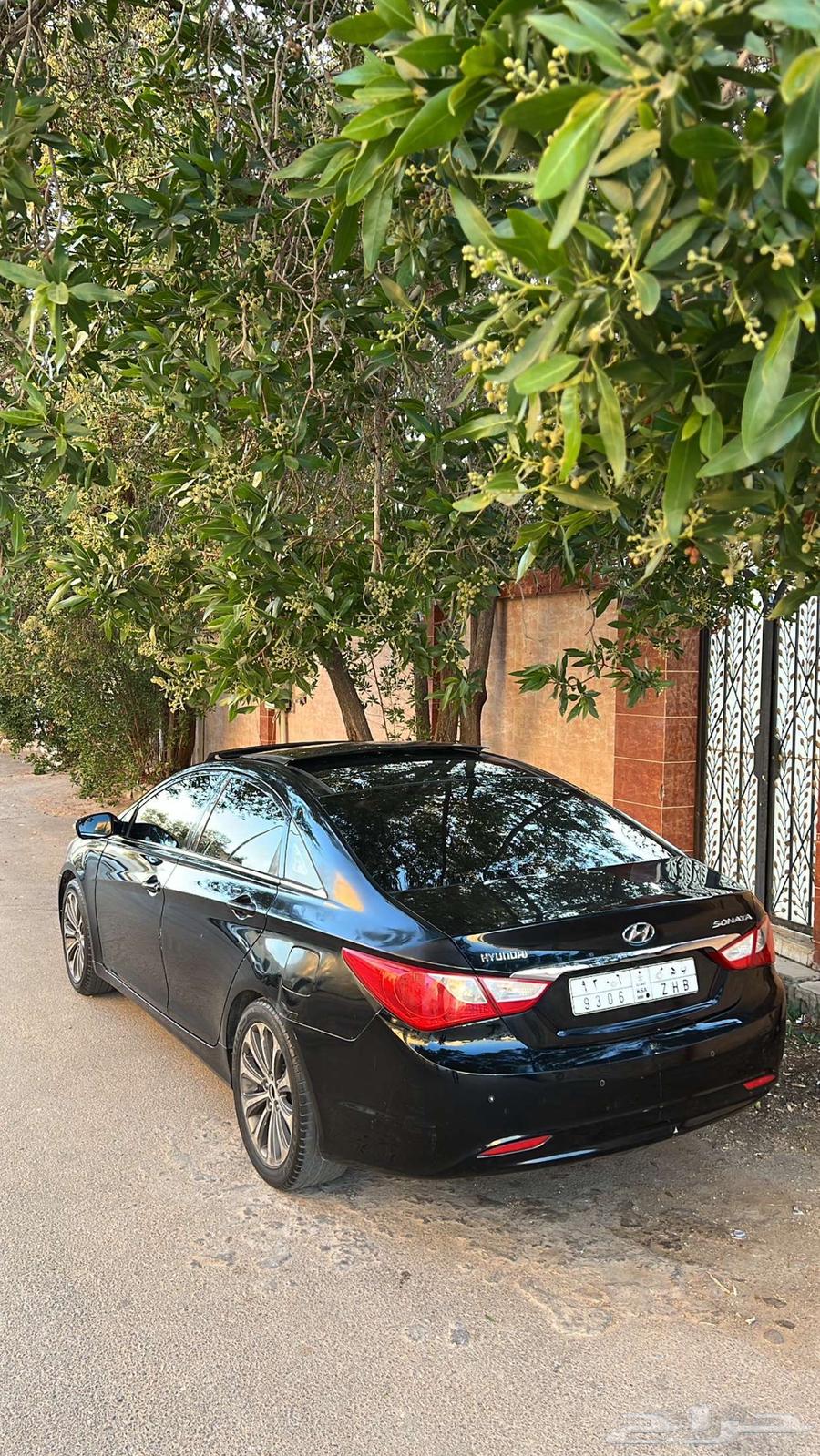 Sonata for sale63307763437699111