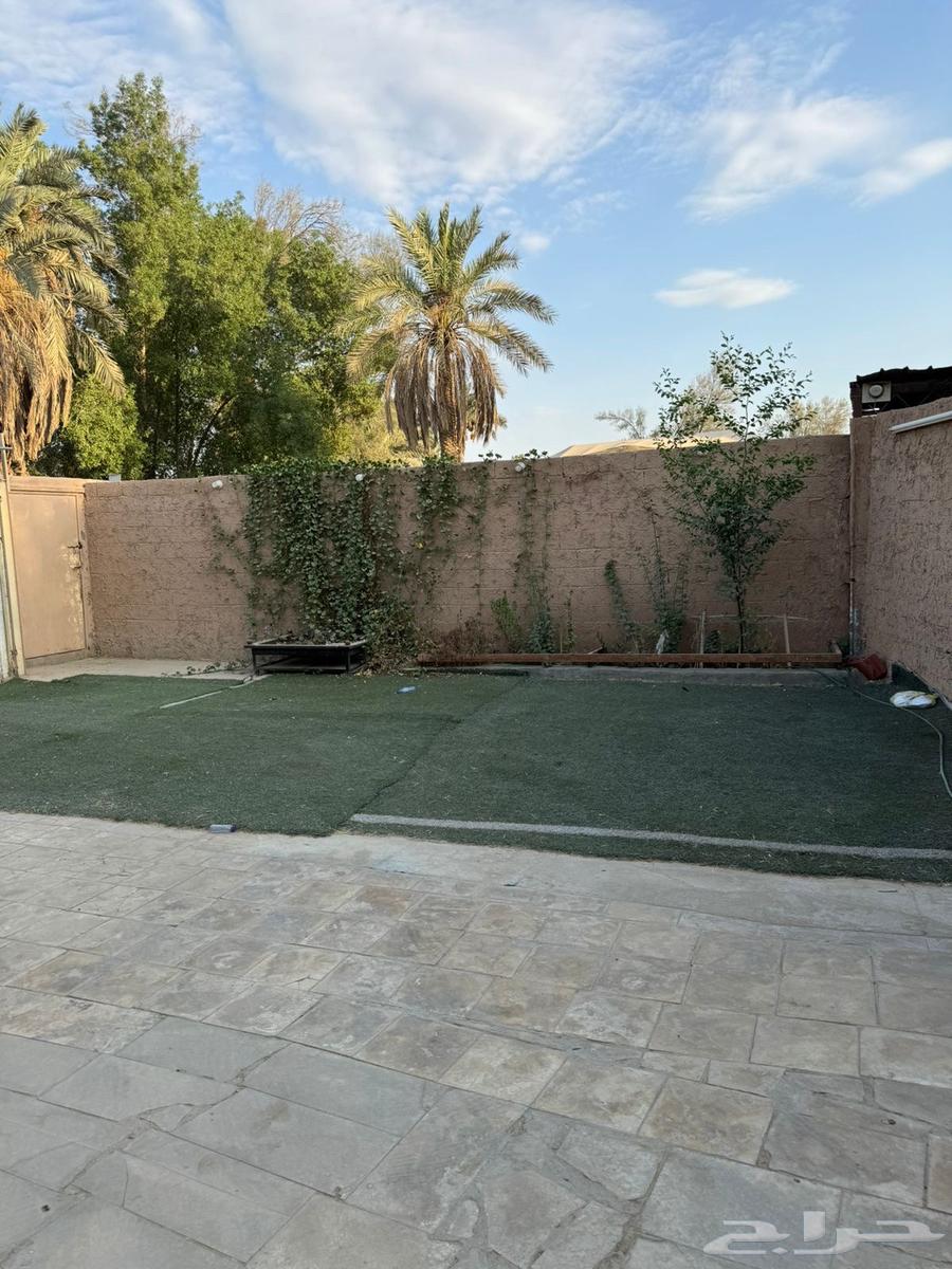 Break area for kissing, Al-Shifa factories district62884380013441111