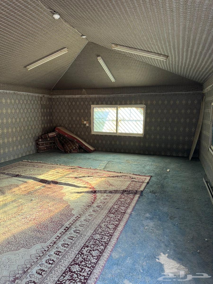 Break area for kissing, Al-Shifa factories district62884380013441112