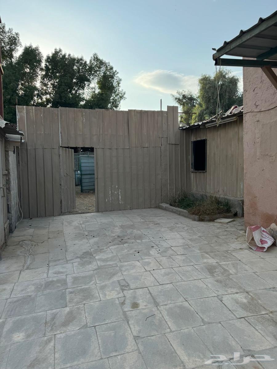 Break area for kissing, Al-Shifa factories district62884380013441114