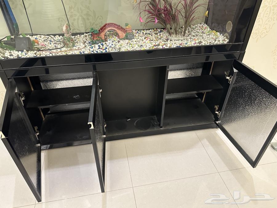 Fish tank63202392467970113