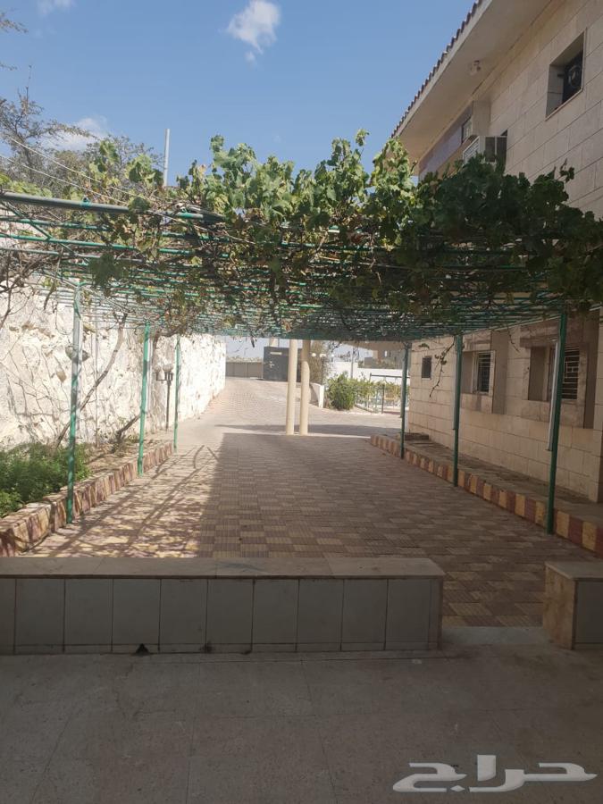 النماص630089463471371110