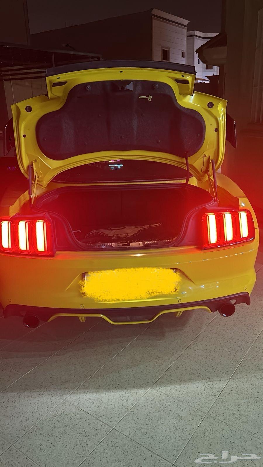 Ford Mustang 201663307848705795112