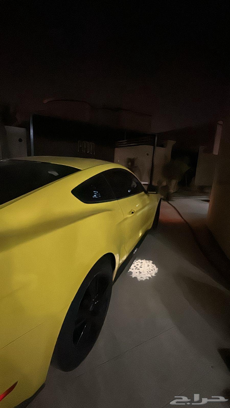 Ford Mustang 201663307848705795113