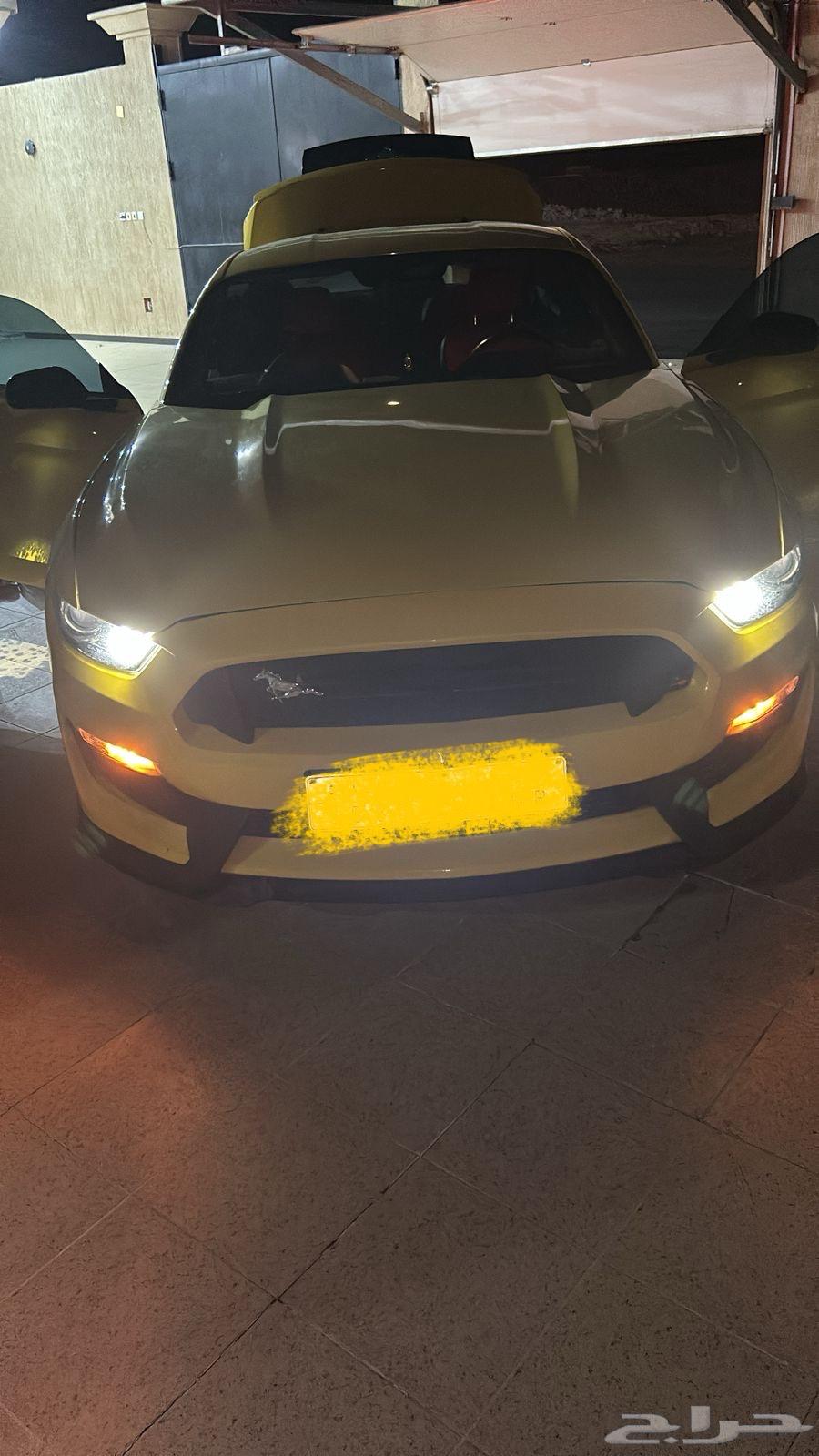 Ford Mustang 201663307848705795111