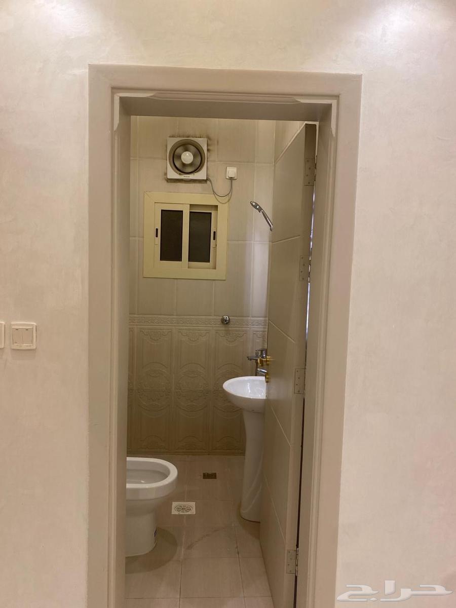 شقة للإيجار63009268163841111