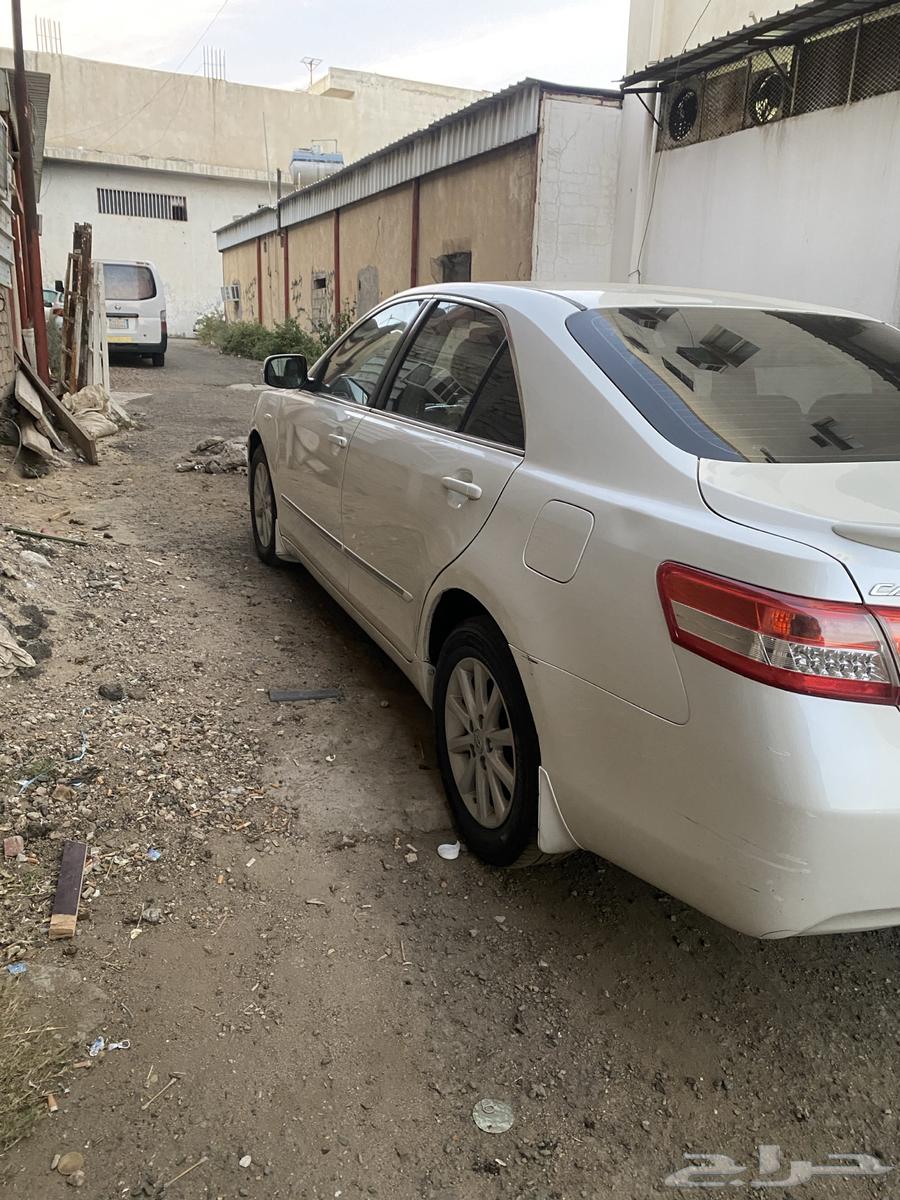 Taif63303607789186114