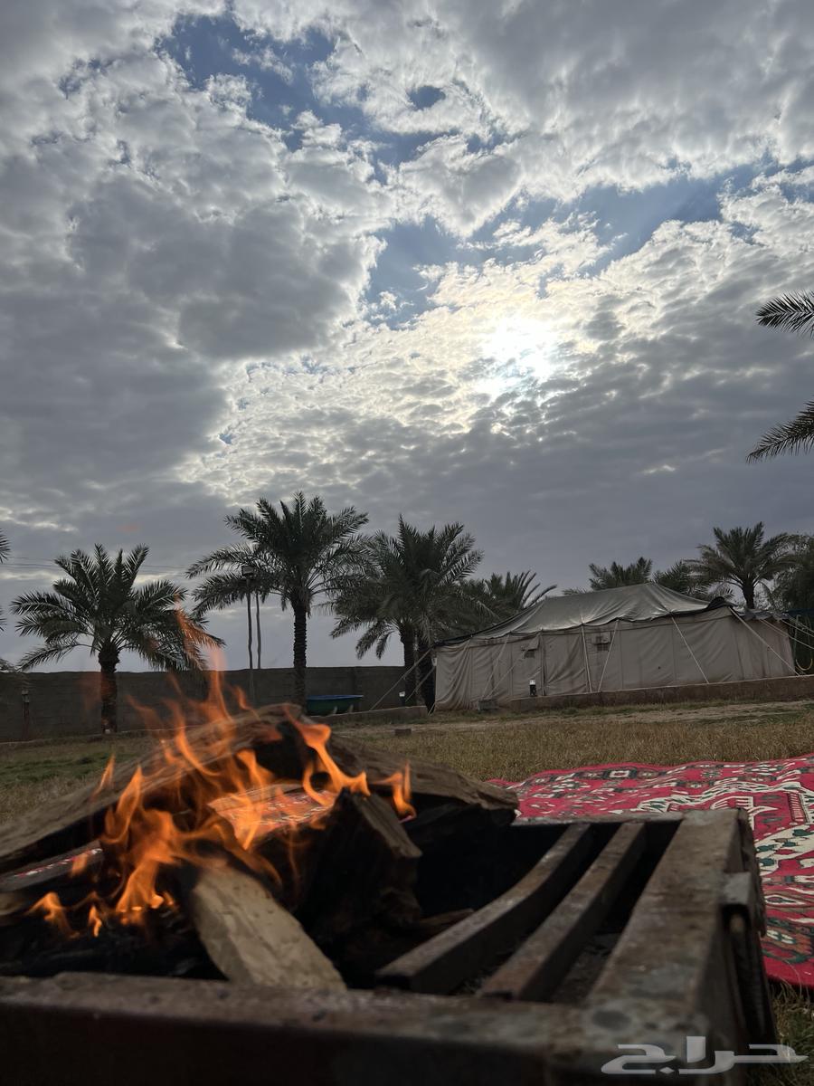 مزرعة اجار يومي63199360275075111