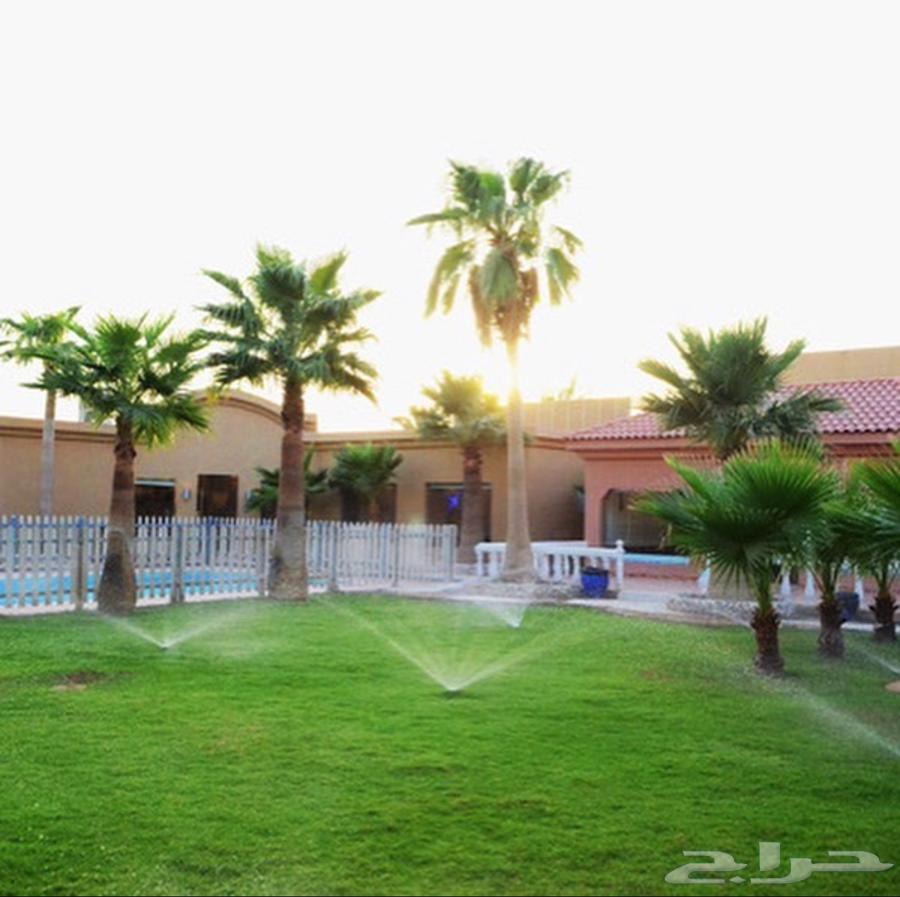 للبيع بالخرج استراحات وشاليهات مؤجرة سنوي628853182360331128
