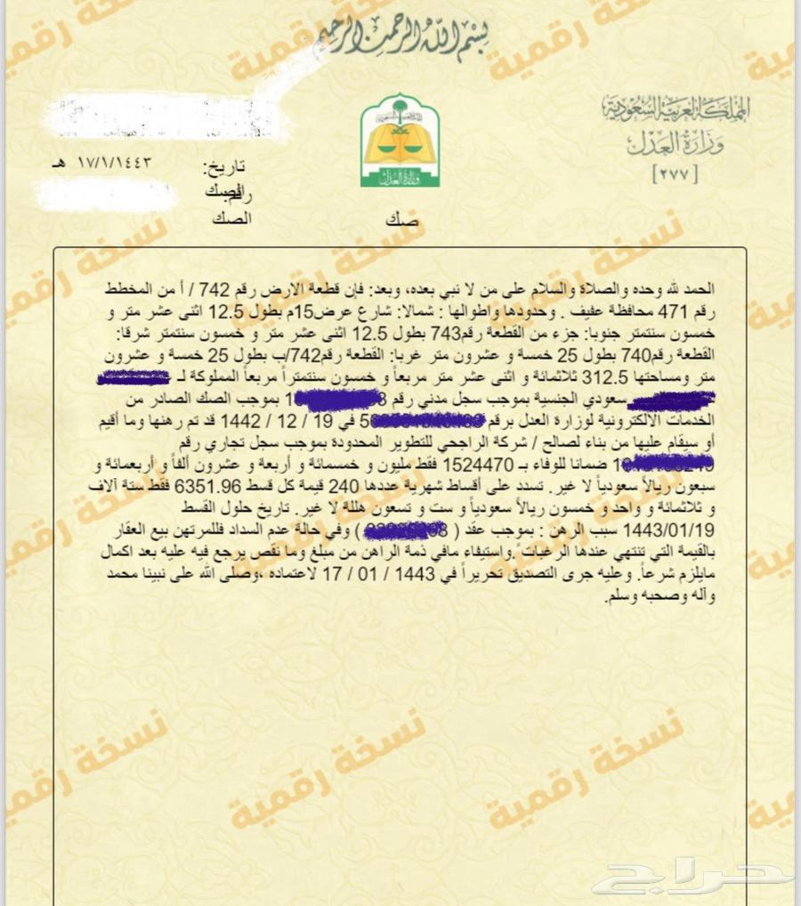 Role for chaste kissing in Al-Nahda neighborhood63009054345347111