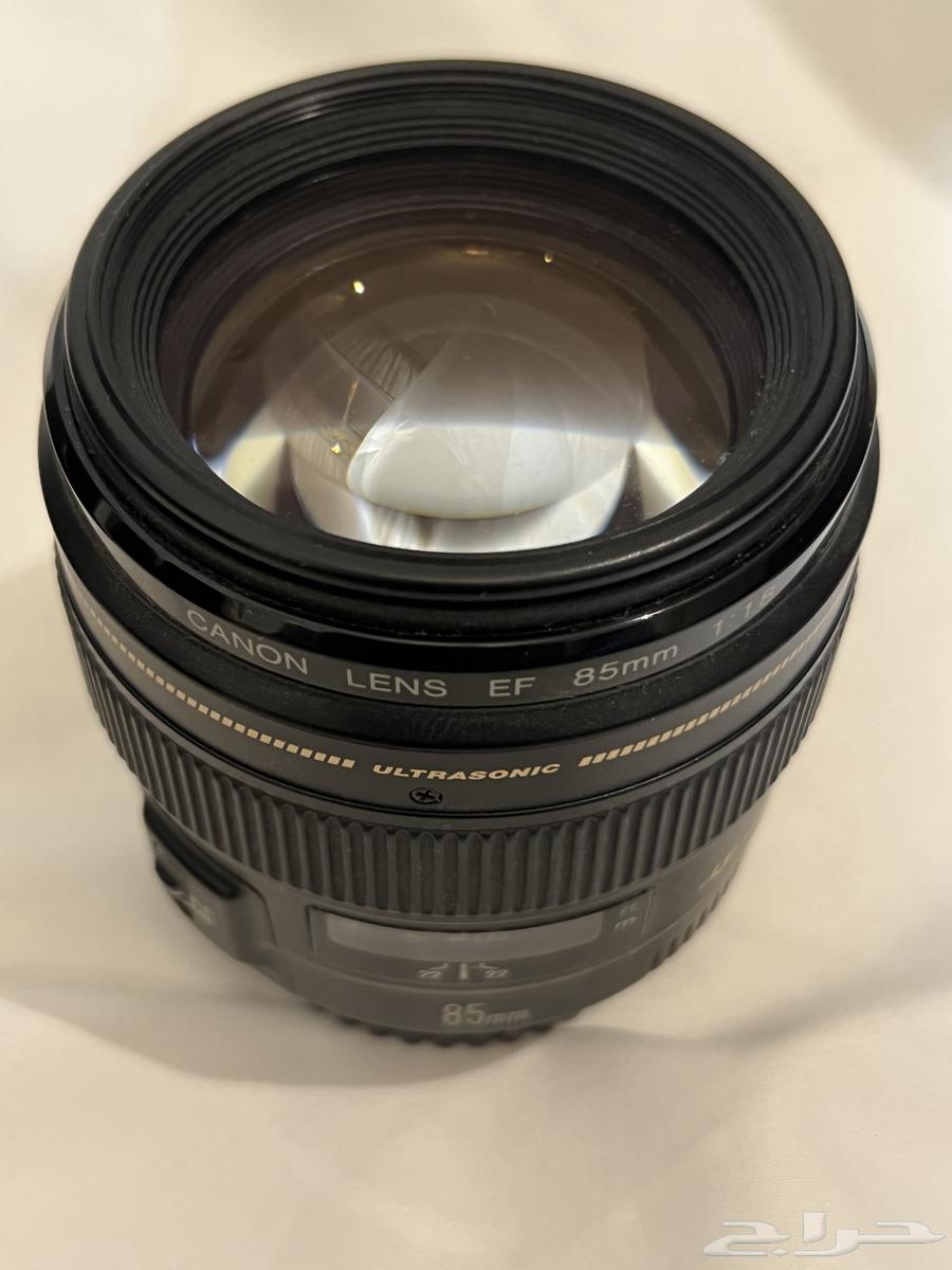 Canon 24-105 and 85mm lens63197876840065111