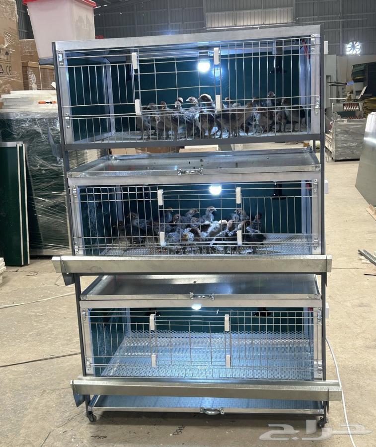 حاضنة صوص لجميع انواع الصوص63194320457731111
