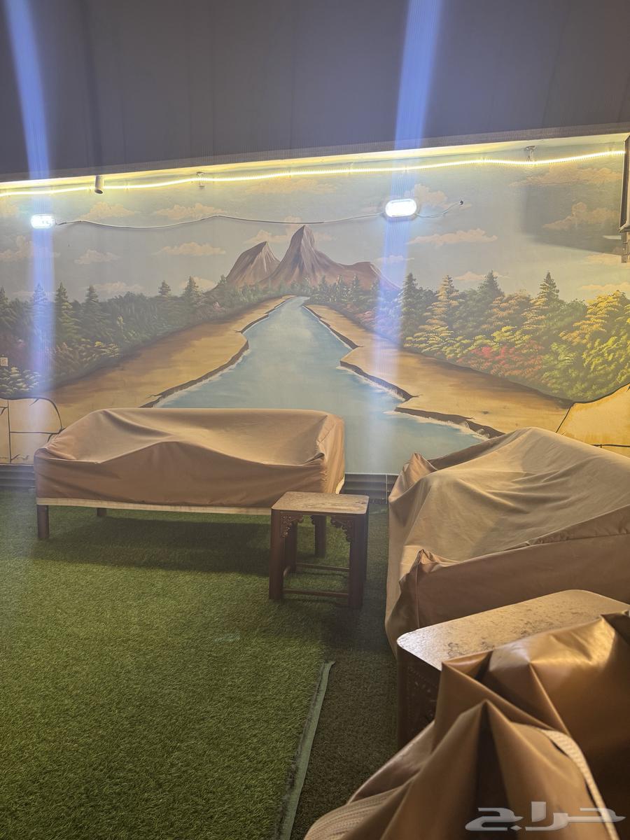 Palm Rest House for daily rent62884384387203111